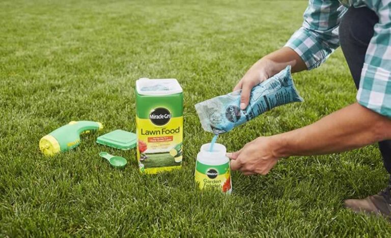 applying grass fertilizer and lawn food