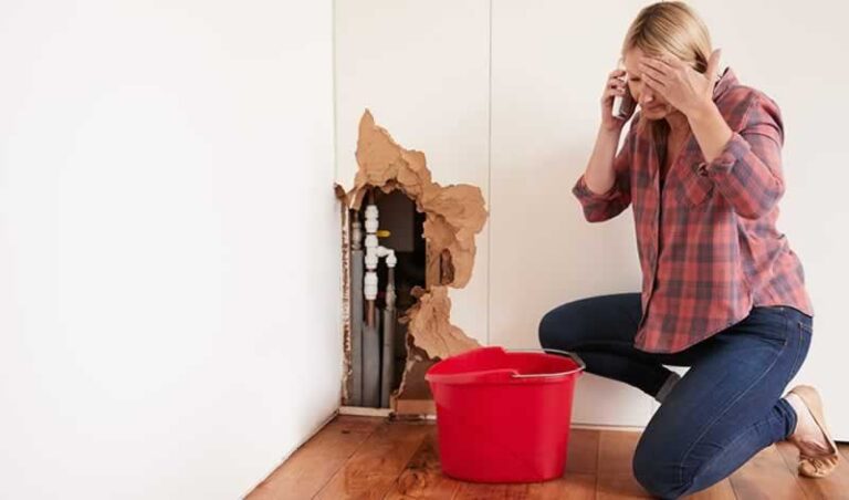What Are the Main Types of issues Local Plumbers Face?
