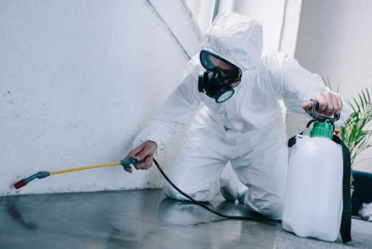 How Pest Control Companies in California Are Responding to Industry Trends