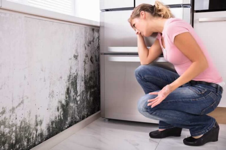 How to Go Beyond Black Mold Removal