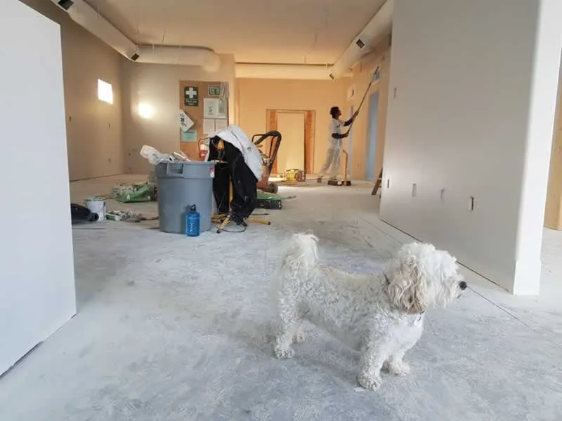 remodeling and painting home