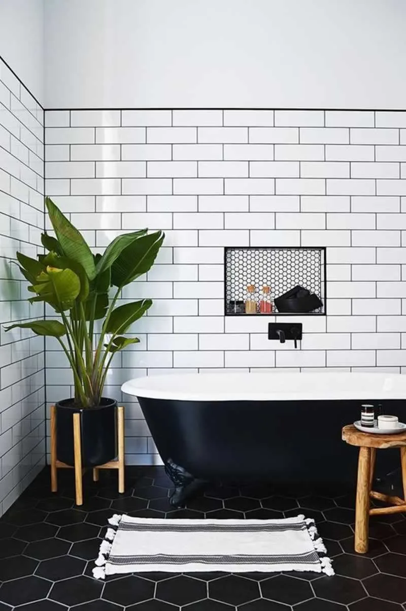plant by the bathtub