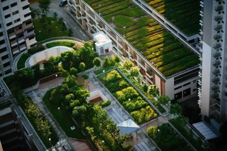 green roofs on business buildings