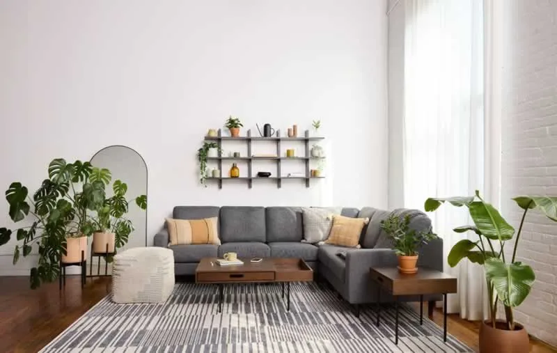 corner sofa in a box