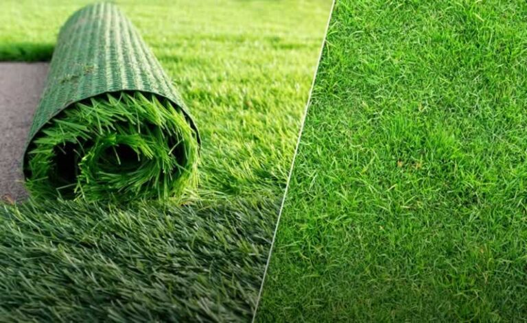 artificial and natural lawn