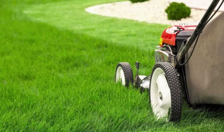 mowing perfect lawn