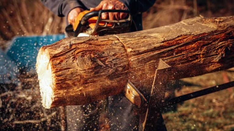 chainsaw burning through wood while cutting