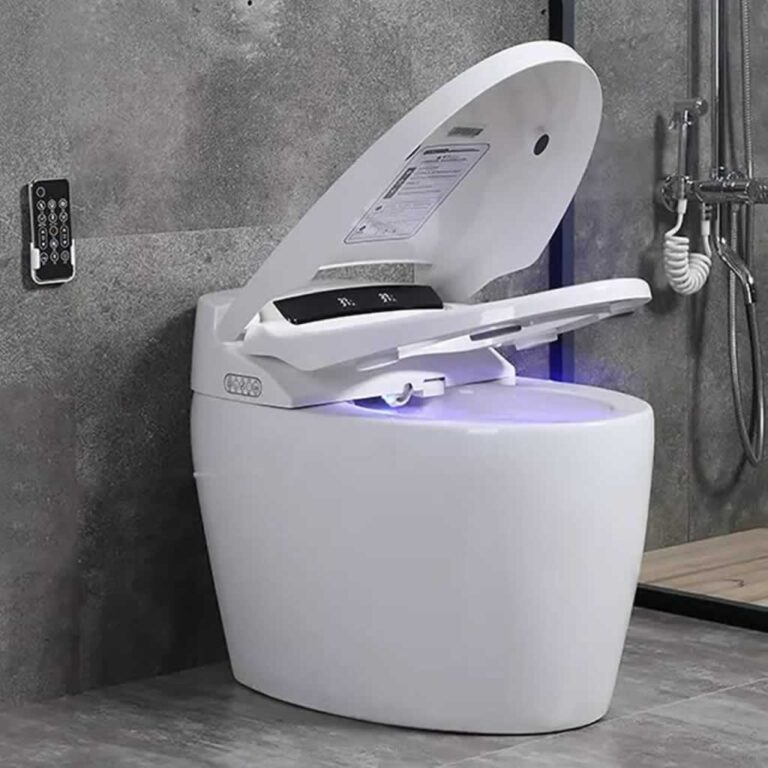 smart toilet