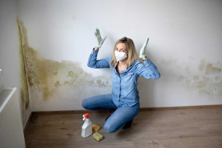 homeowner discovering mold on walls