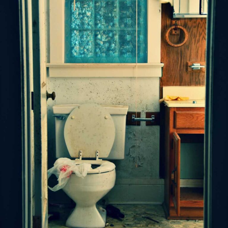 outdated and moldy bathroom