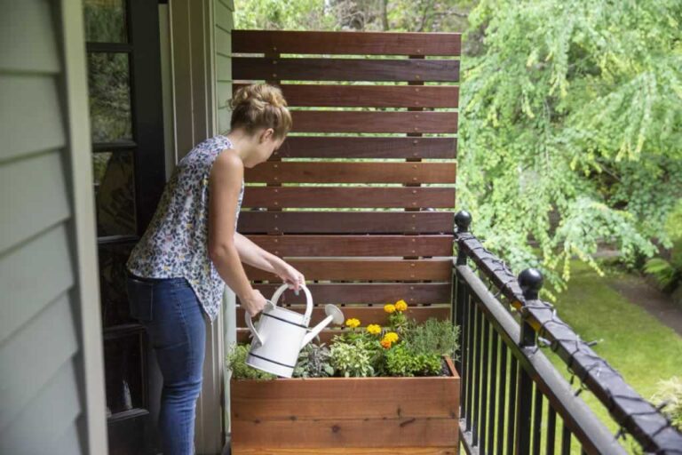 woman watering plants inside DIY privacy screen