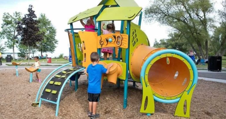 kids playing on professional playground equipment