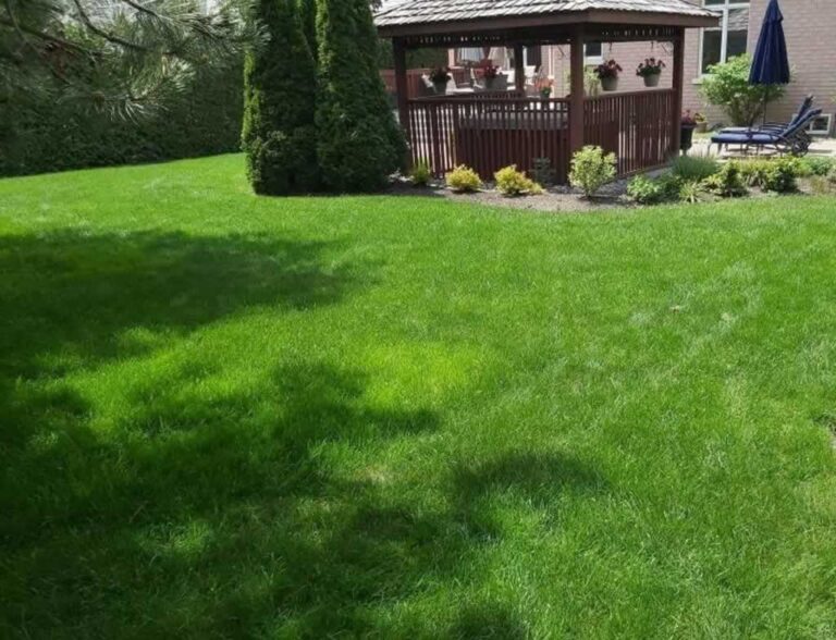 amazing lawn with patio