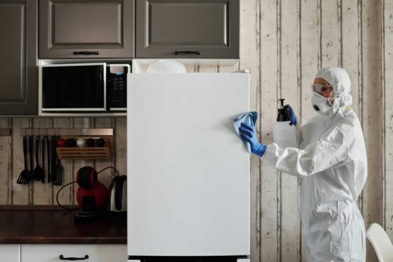 cleaning mold from the fridge