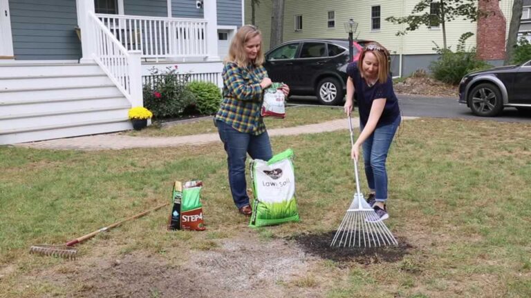 repairing lawn after stump grinding
