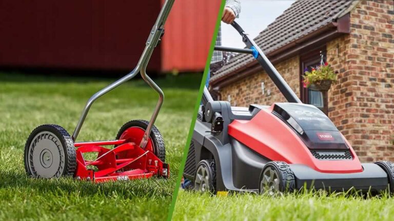 manual and electric lawn mower