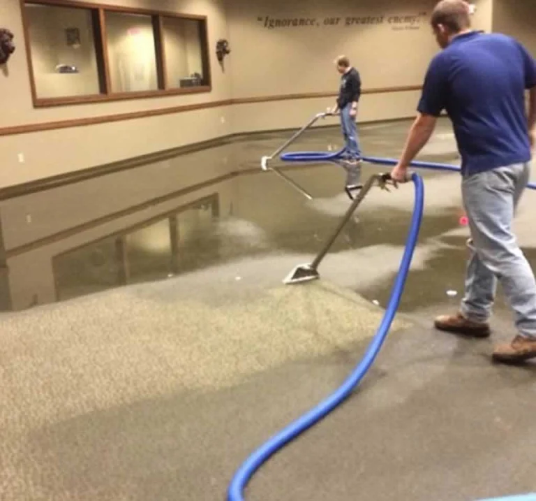 water removal company removing water