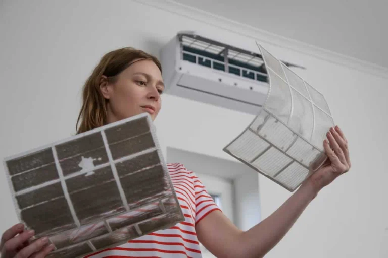 woman comparing dirty and clean filter from split AC