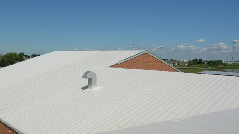 platinum duro lasting roof on family house