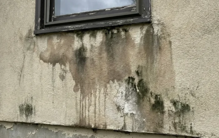 stucco water damage beneath the window