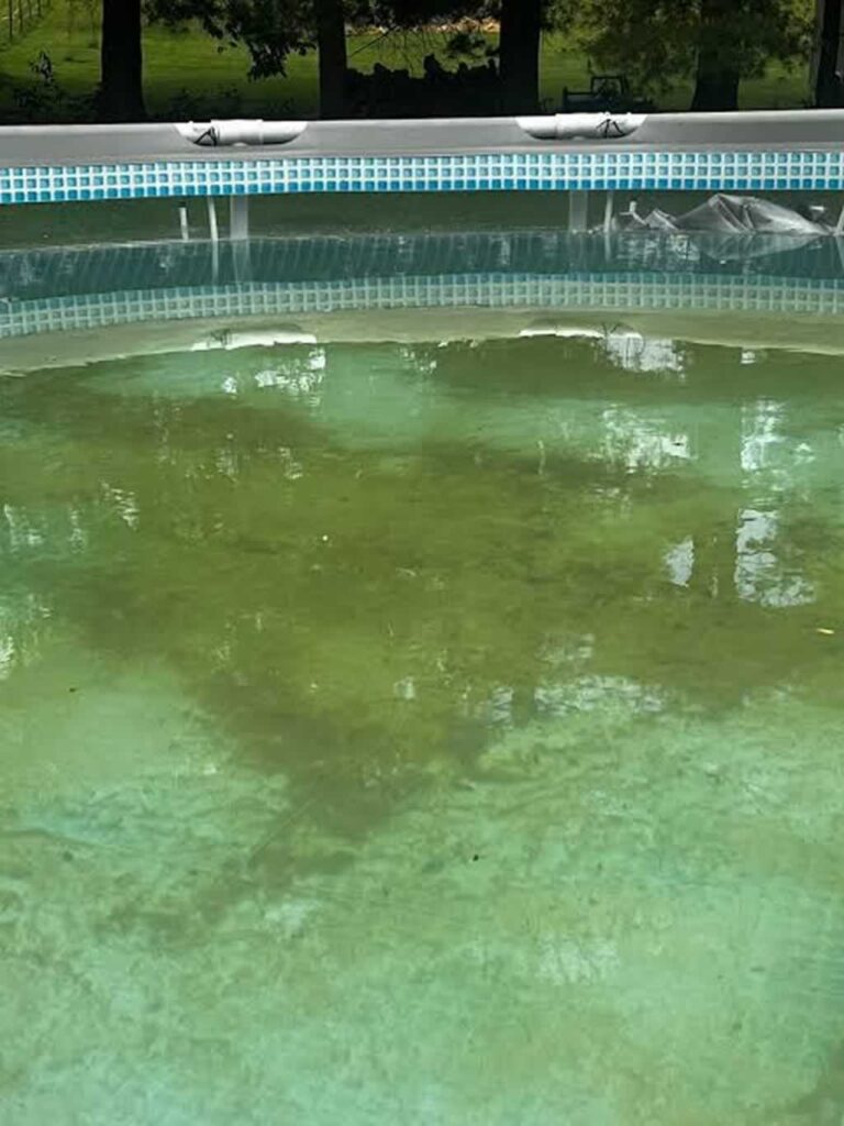 green algae residue at the bottom of the pool