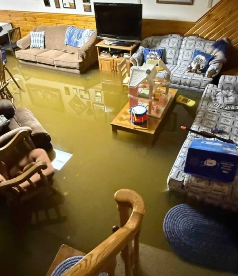 What Homeowners Can Do To Restore Their Property After A Flood